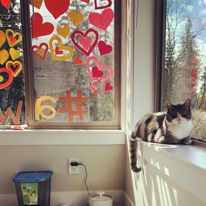 Meet your Posher, Savanah